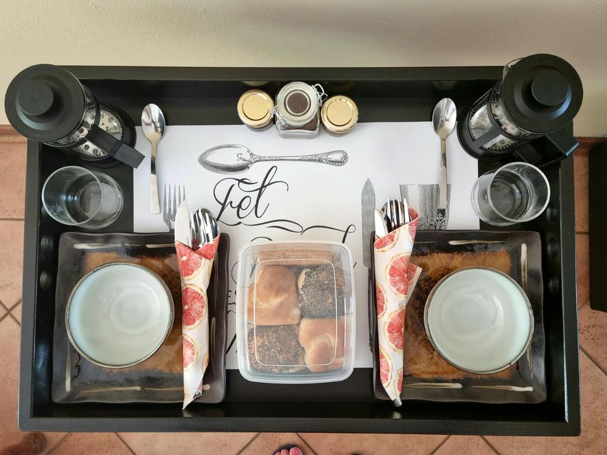 Camelia Guest House 블룸폰테인 외부 사진