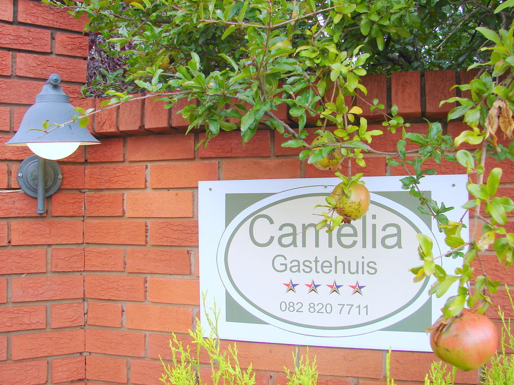 Camelia Guest House 블룸폰테인 외부 사진