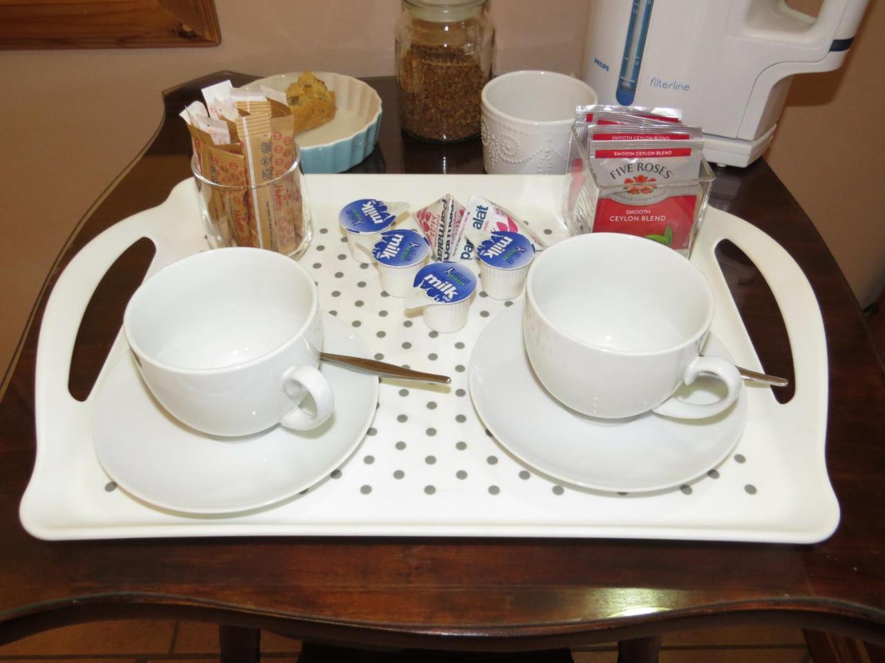 Camelia Guest House 블룸폰테인 외부 사진